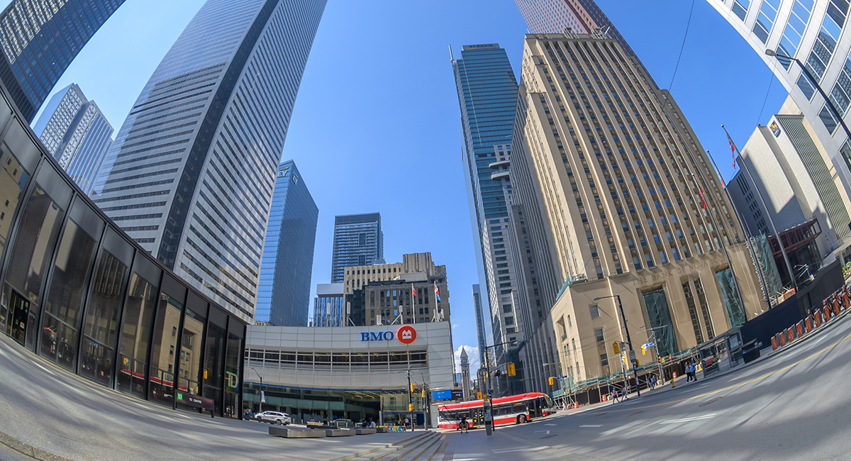 Why TD's 38% Profit Jump Moved the Stock Less Than Scotiabank's 18%