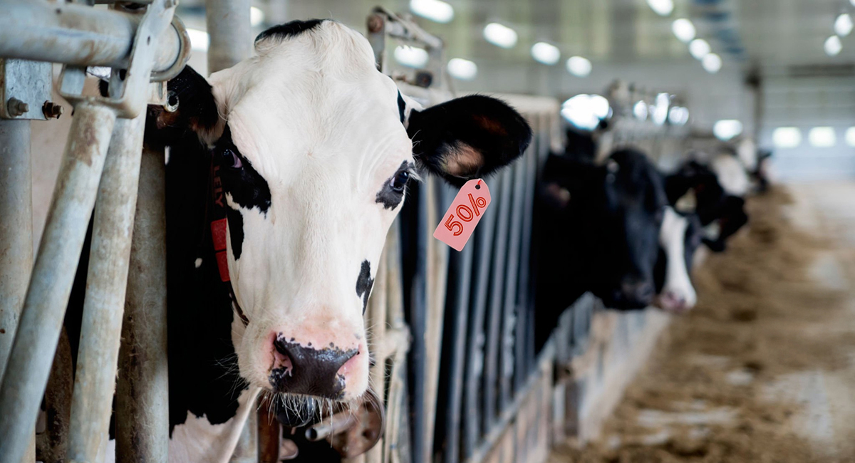 The Tariffs That Missed Energy, Potash, and Critical Minerals