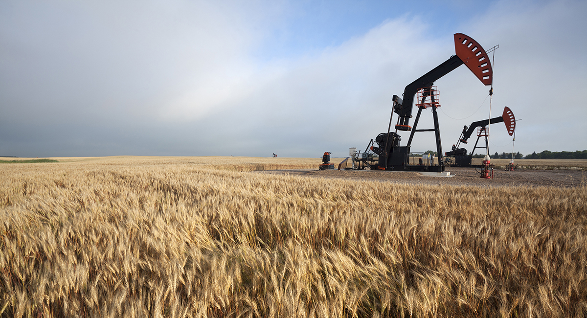 TSX Splits on the BoC Hold: Energy Holds, Everything Else Folds